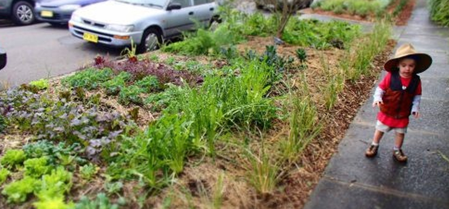 Farmers of the urban footpath – design guidelines for street verge gardens